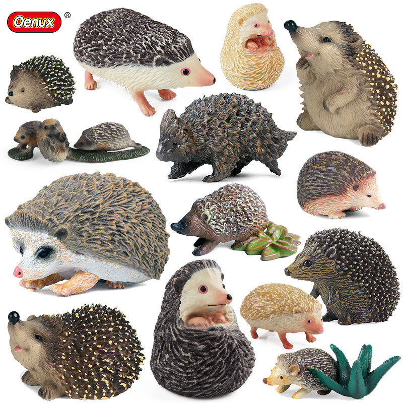 Oenux シミュレーション野生ジャングル森林動物ハリネズミ - Kids Without Education のレビューと価格