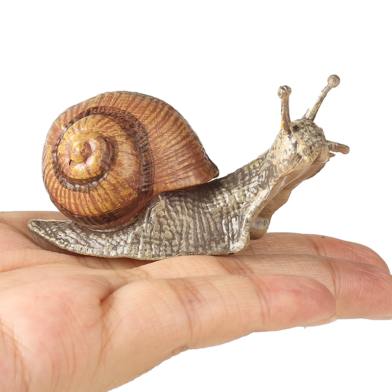 Oenux 野生昆虫動物カタツムリの成長サイクルモデル庭の装 - Kids Without Education のレビューと価格