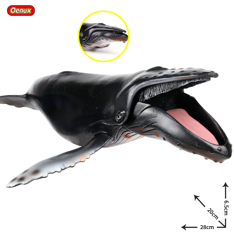 Oenux海の生物サベージメガロドンビッグサメオルカ精子シロ - Kids Without Education のレビューと価格