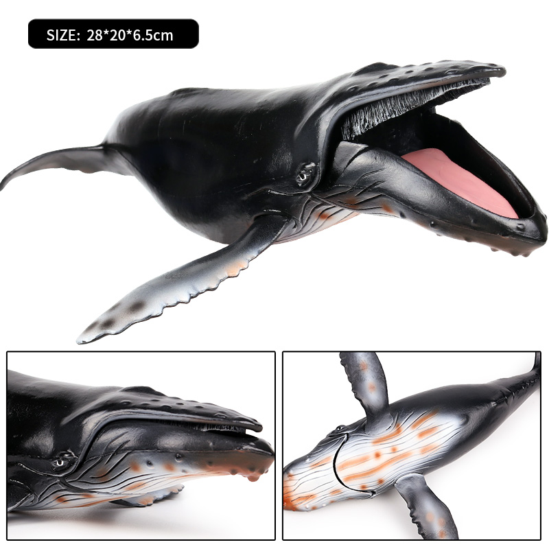 Oenux 海洋動物サベージメガロドンベルーガビッグサメシャ - Kids Without Education のレビューと価格